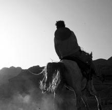 温暖的ddos网页端源码